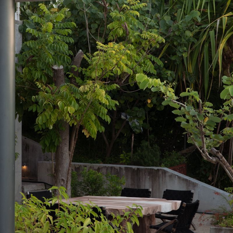 Designer Villa in Punta de Mita