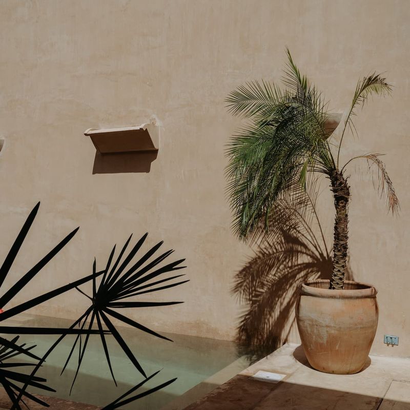 Designer Home in Merida