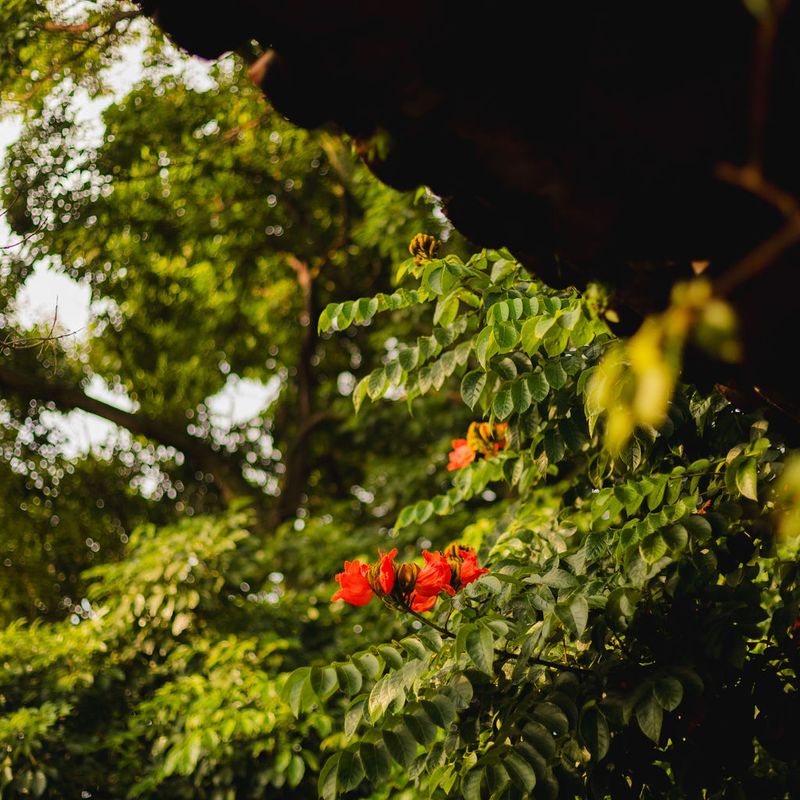 17th Century Hacienda in Morelos