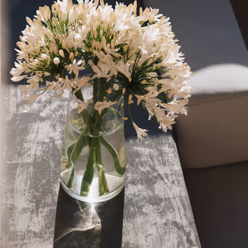 Home in Centro Historico