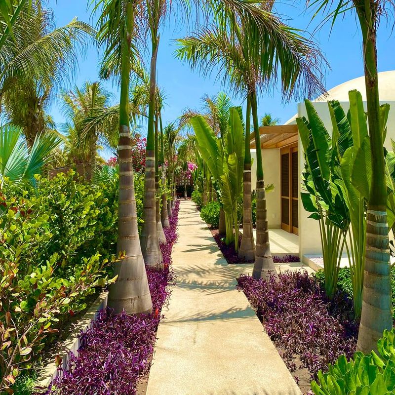 Oceanfront Home in La Barra de Colotepec