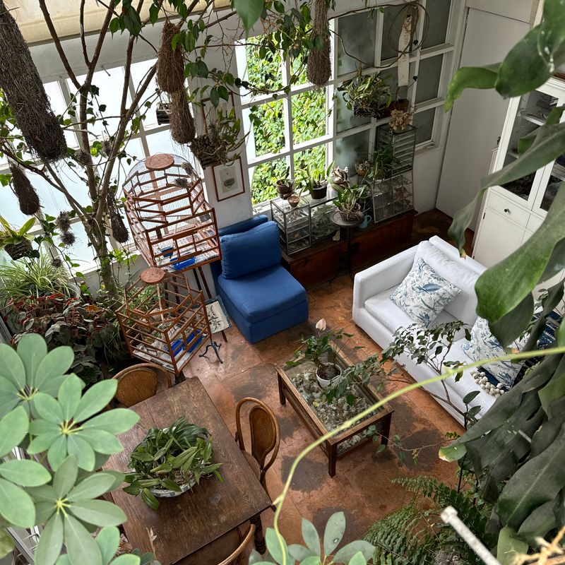 Artist's Home in Condesa