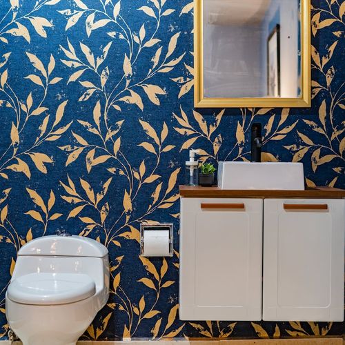 Large Home in Condesa