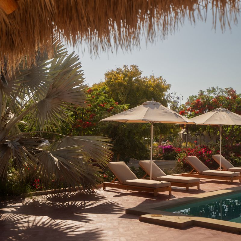 Rancho  in Todos Santos