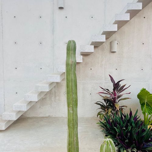 home in El Puertecito