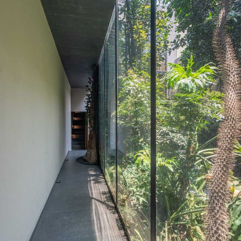 Historic home in Condesa