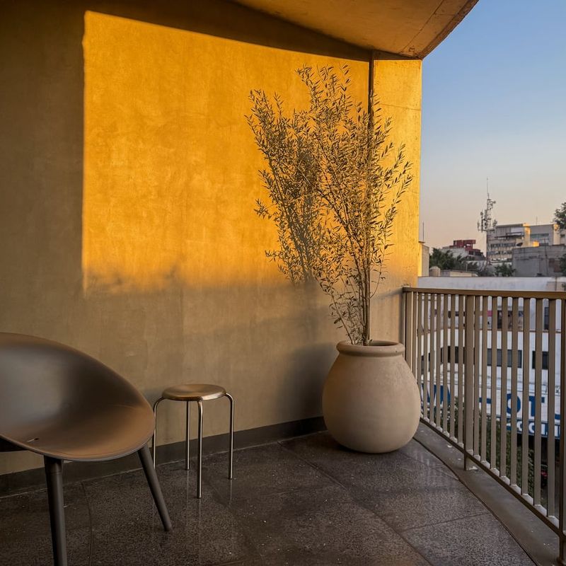 Apartment in Condesa