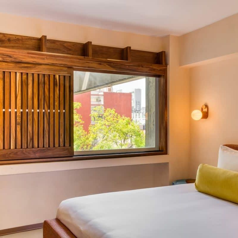 Two Apartments in Condesa