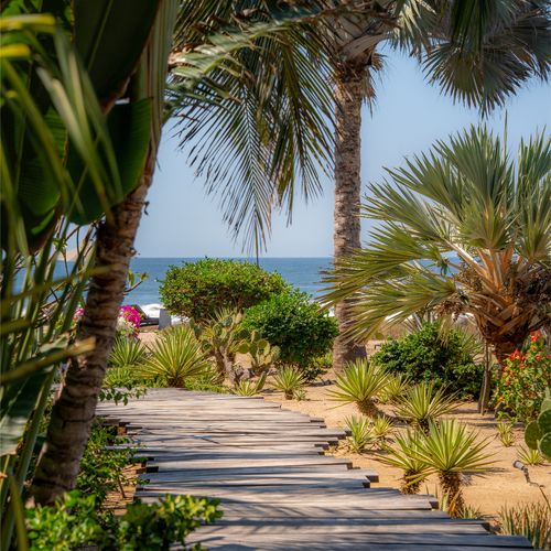 Beachfront Home in Puerto Escondido