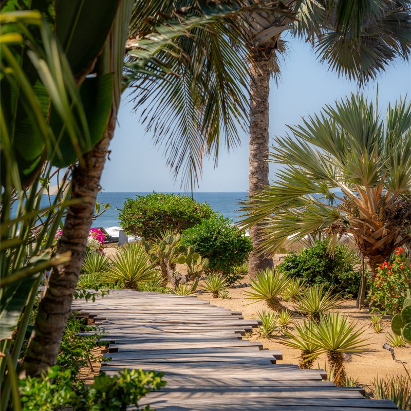 Beachfront Home in Puerto Escondido