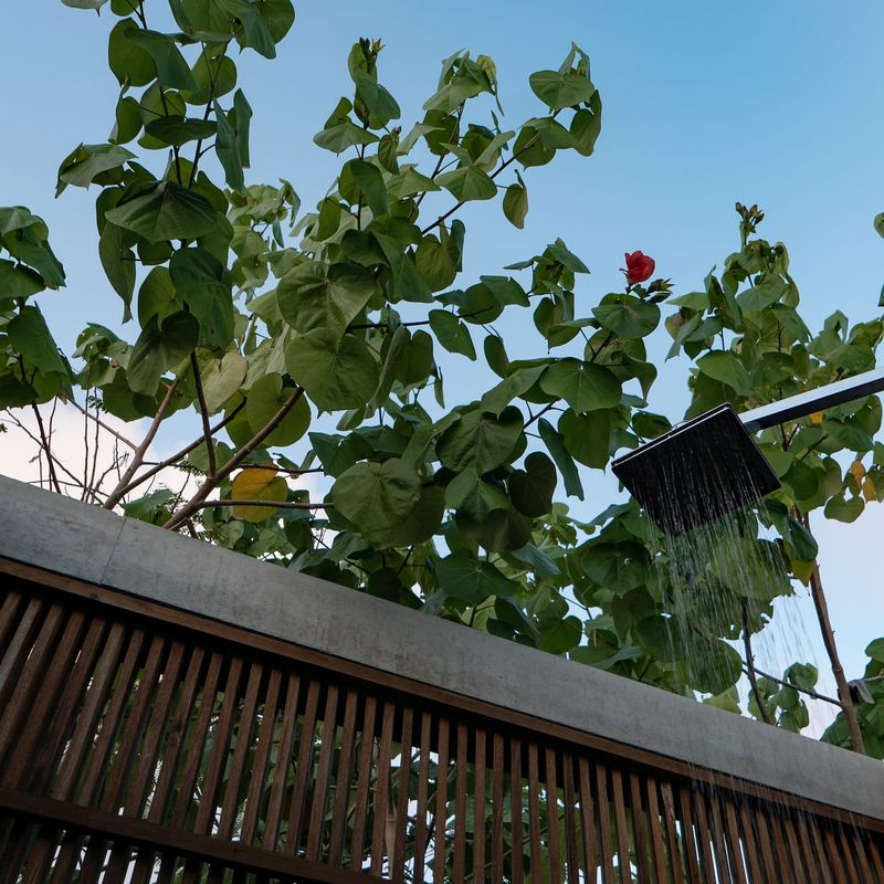 Villa in Casa Wabi Area