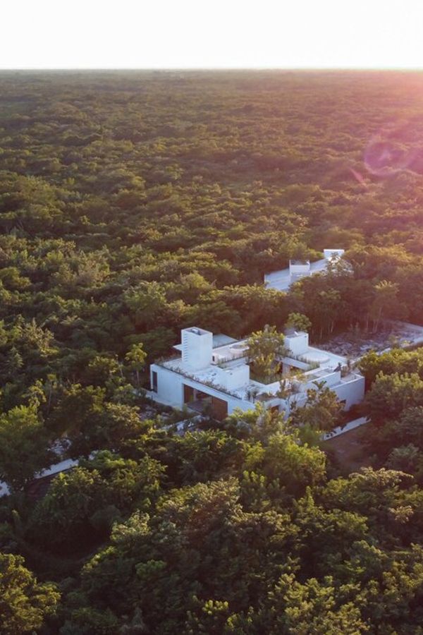 Luxury Jungle Villa in Valladolid