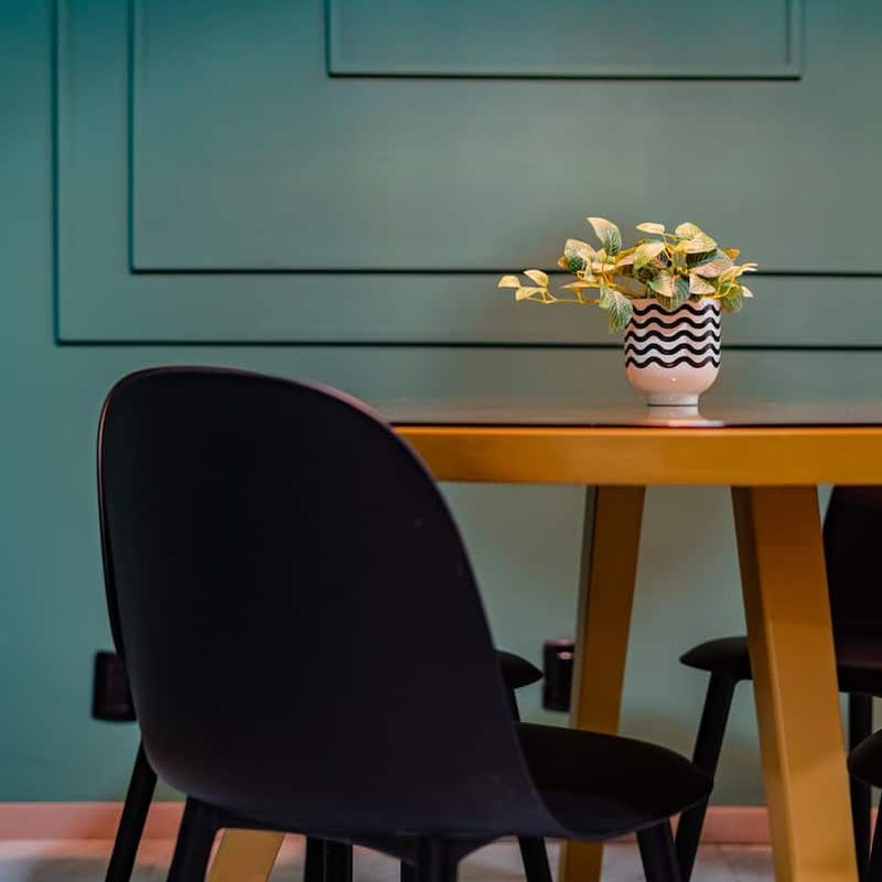 Large Home in Condesa