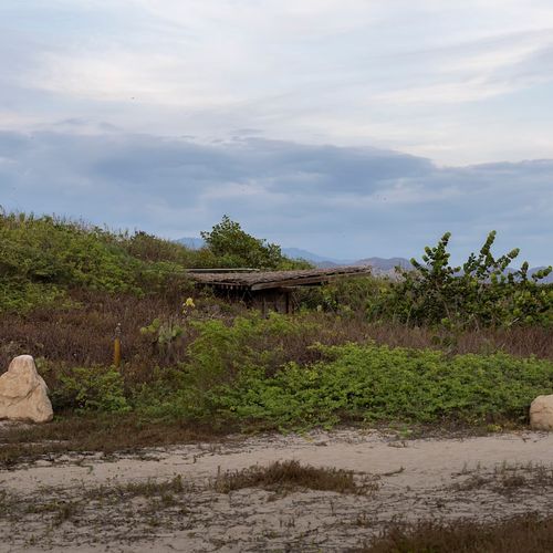 Beach Shack in Casa Wabi Area