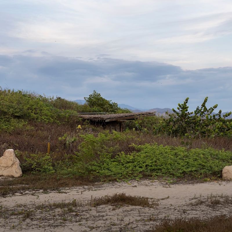 Beach Shack in Casa Wabi Area