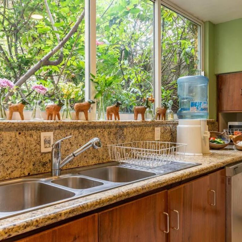 Artist's Home in Condesa