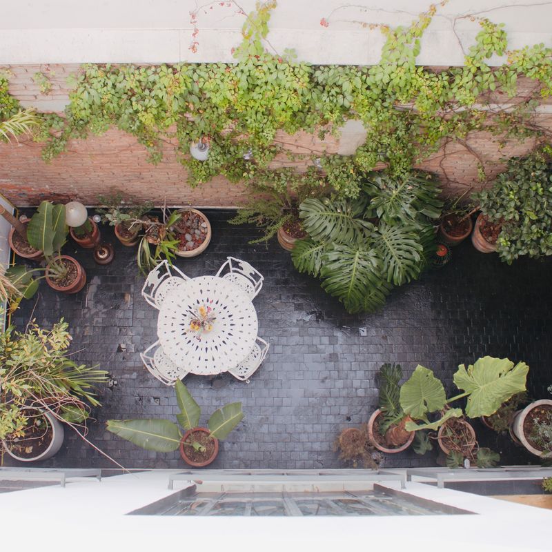 Large Home in Roma Sur