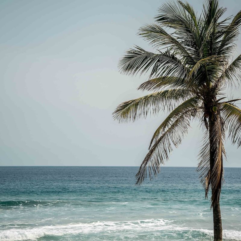 Oceanfront Villa in Santa María Colotepec