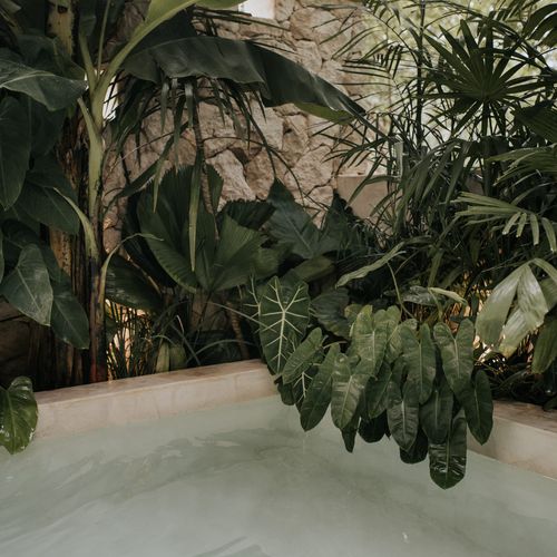Apartment in Tulum