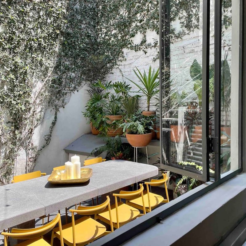 Designer Home in Condesa