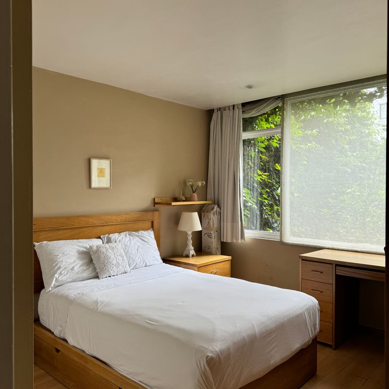 Artist's Home in Condesa