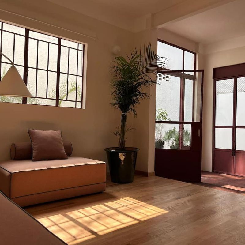 Designer Home in Condesa