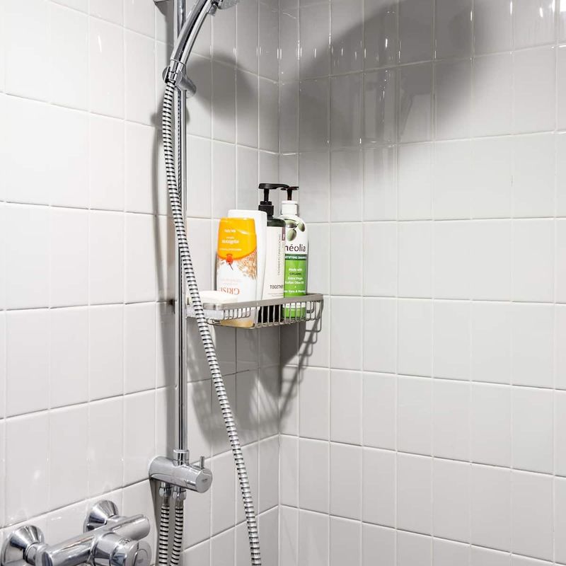 Apartment in Condesa