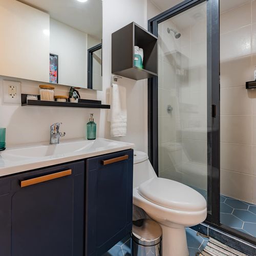 Large Home in Condesa