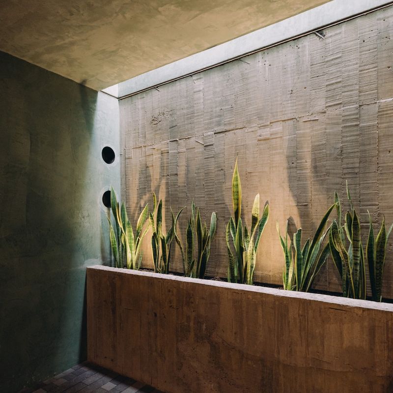 Luxury Home in Oaxaca