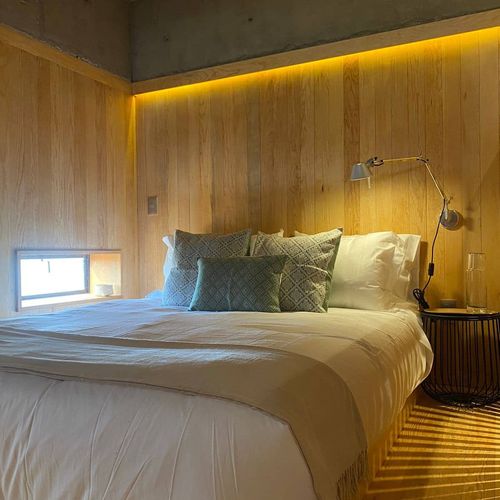 Apartment in Roma Norte