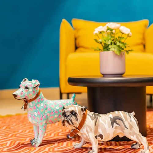 Large Home in Cuauhtemoc