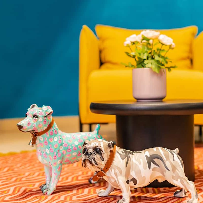 Large Home in Cuauhtemoc