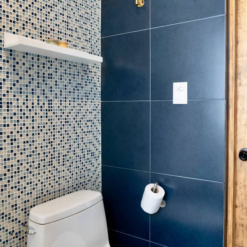 Two Homes in Polanco