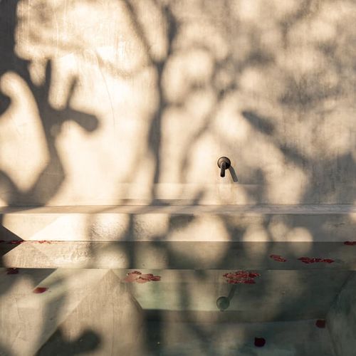 Designer Home in San Miguel de Allende