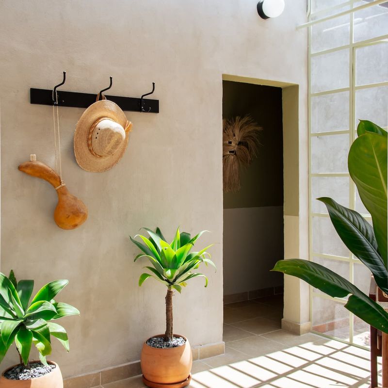 Penthouse in Condesa