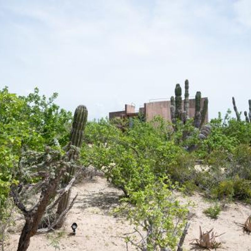 Home in Todos Santos