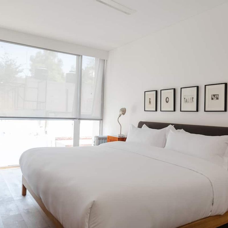 Apartment in Condesa