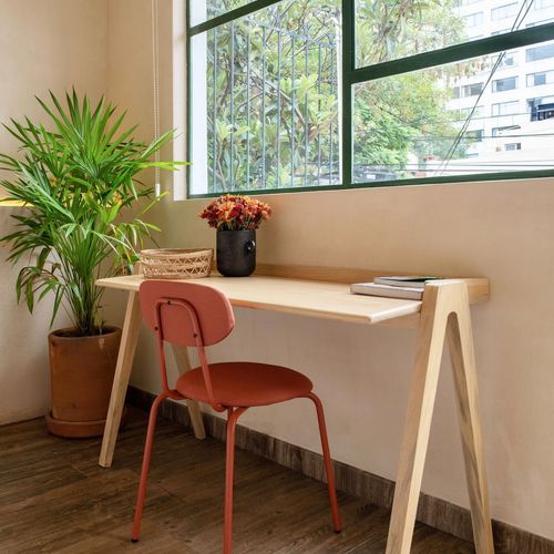 Two Homes in Polanco