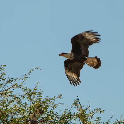 Villa in San Miguel de Allende