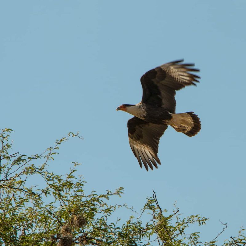 Villa in San Miguel de Allende