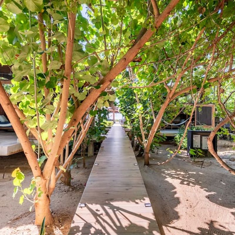 Beachfront Villa in Casa Wabi Area