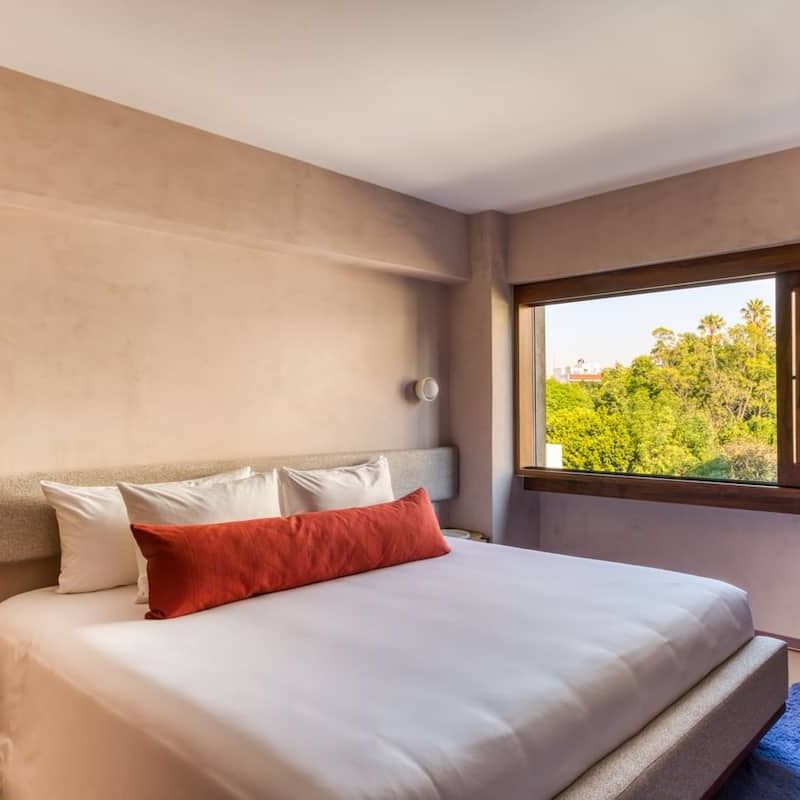 Two Apartments in Condesa