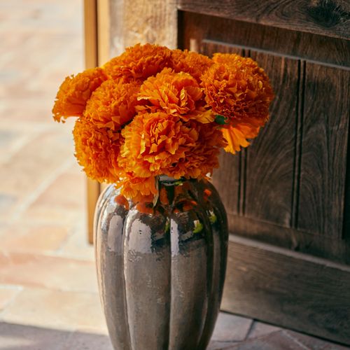 17th Century Home in San Miguel de Allende