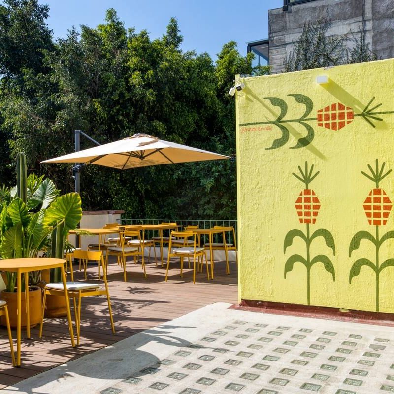 Private House in Condesa