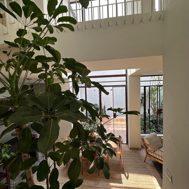 Designer Home in Condesa