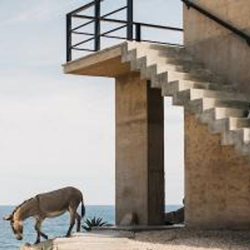 Brutalist Home in East Cape
