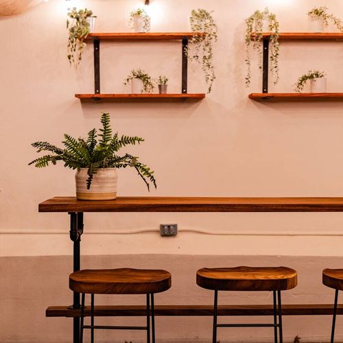 Large Home in Condesa