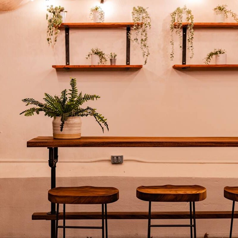 Large Home in Condesa