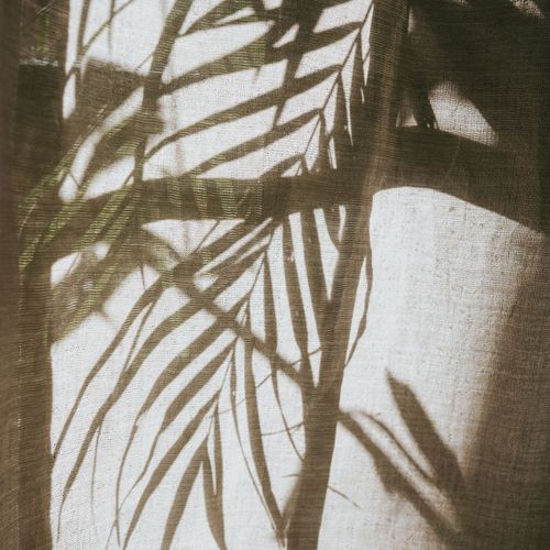 Apartment in Tulum