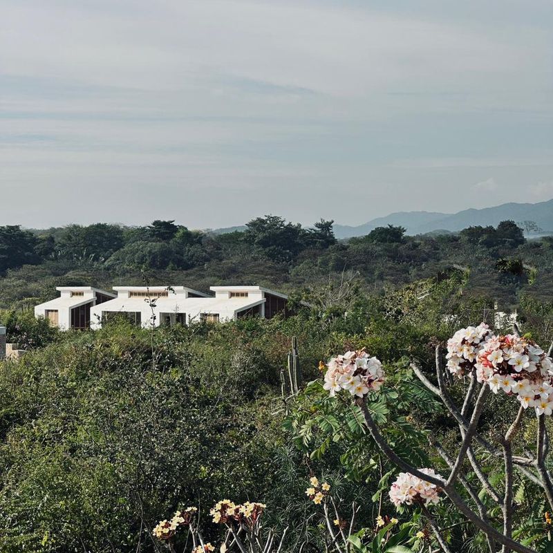 Designer Home in Casa Wabi Area